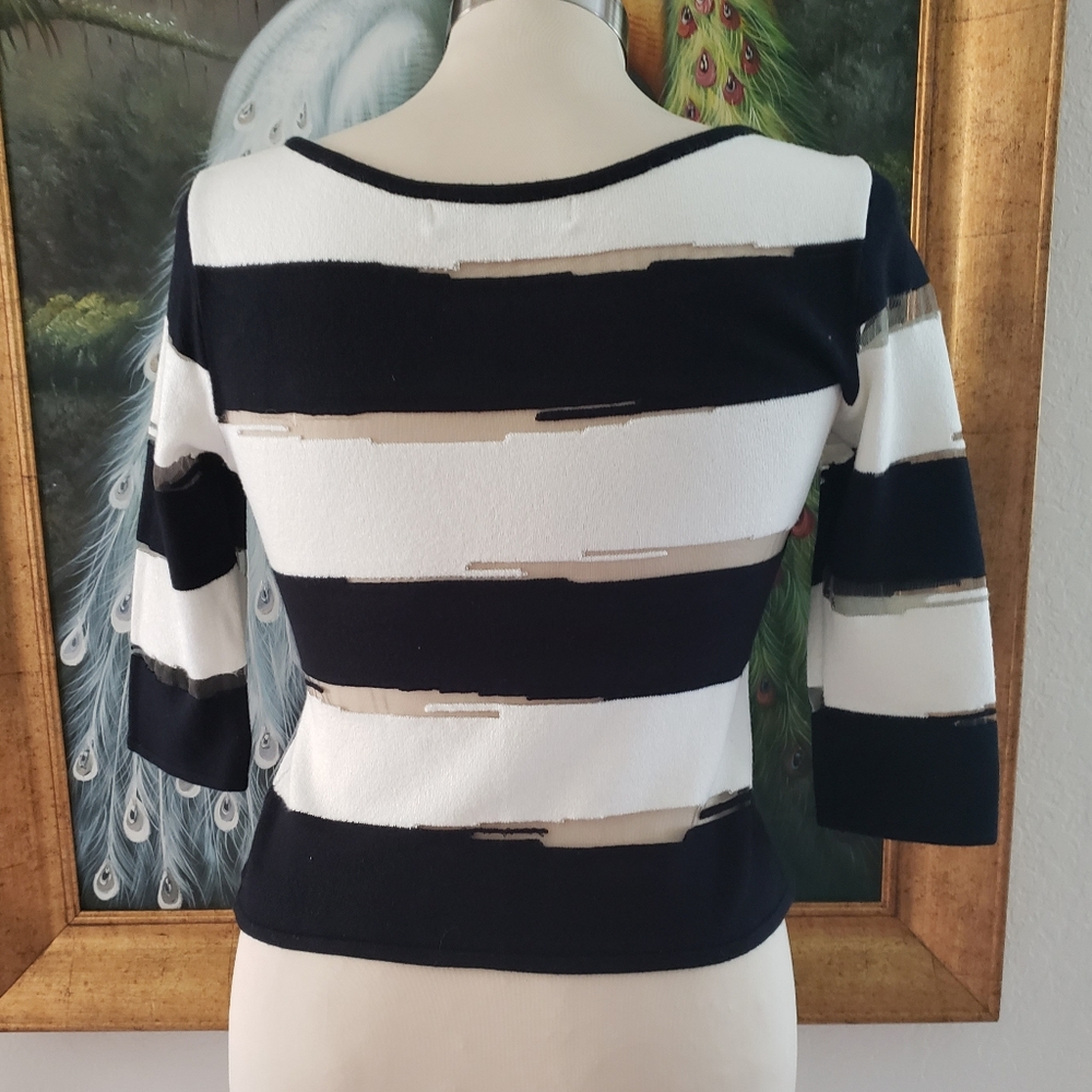 Angelica Val Stripe Blouse - Picture 4 of 14